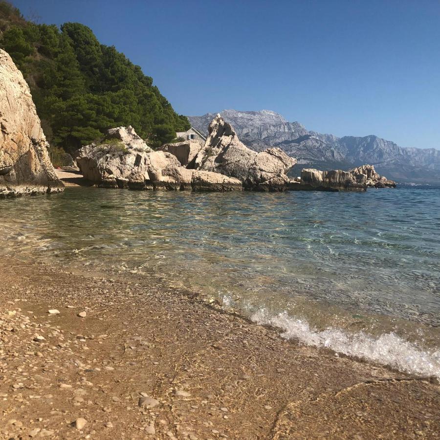 Luxury Apartments Andrea Marusici  Dış mekan fotoğraf