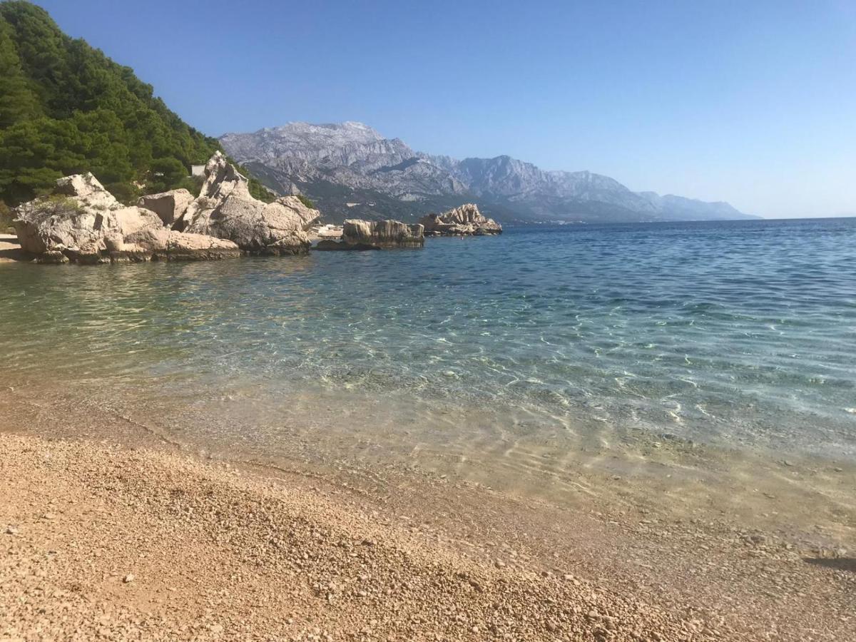 Luxury Apartments Andrea Marusici  Dış mekan fotoğraf
